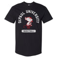 DePaul Blue Demons Mascot Basketball WHT