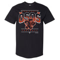 Monterrey Osos Logo Triangle WHT