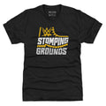 WWE Stomping Grounds Logo WHT