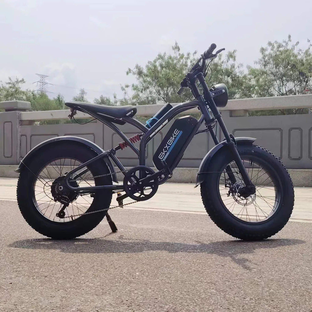 EKX T1 1000W 48V/20AH Electric Mountain Electric Bike With 20-Inch Fat Tires (SAK58340)