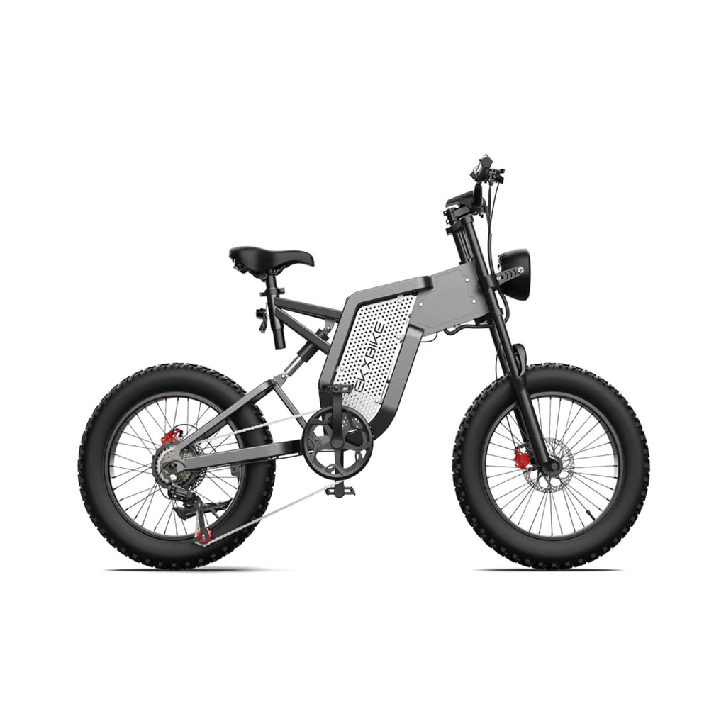 EKX X20 2000W 48V/35AH Electric Bike Mountain Moped E-Bike (SAK31682)
