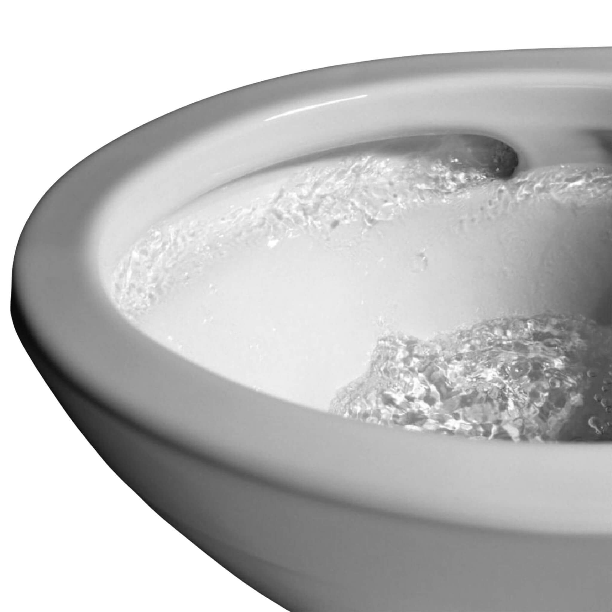 [MW7763084CSG#01] TOTO Drake C5 Bidet Seat With 1.6 GPF Tornado Flush (SAK12230)