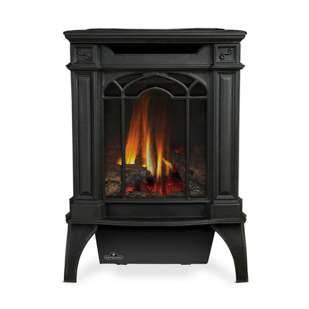 Napoleon Arlington 20 19-Inch Cast Iron Direct Vent Metallic Black Natural Gas Stove [GDS20NE] (SAK18258)