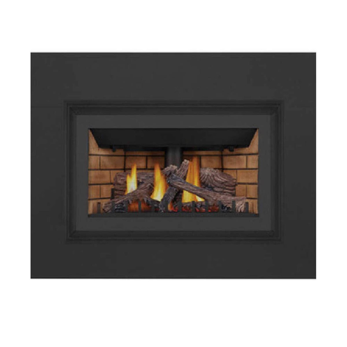Napoleon Inspiration ZC 36-Inch Direct Vent Millivolt Ignition Natural Gas Fireplace Insert [GDIZC-NSB] (SAK58347)