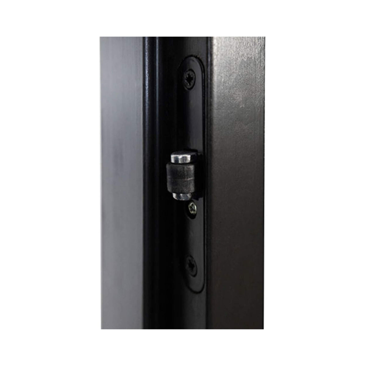 Prosaunas 24X81-Inch Black Alder Tinted Glass Sauna Door (SAK36827)